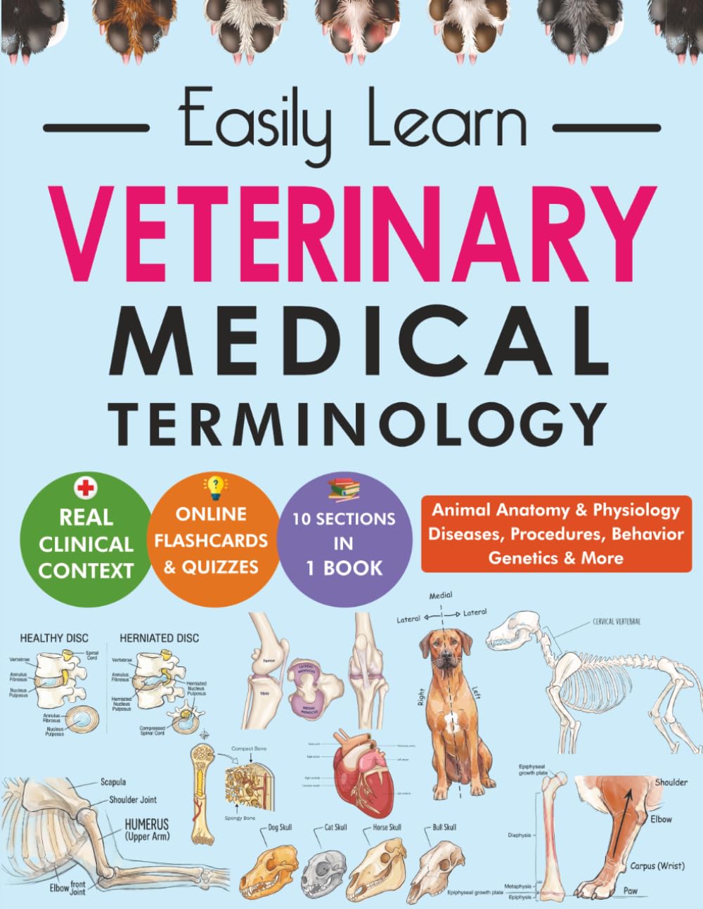 Cover of Veterinary Medical Terminology for Students and Beginners